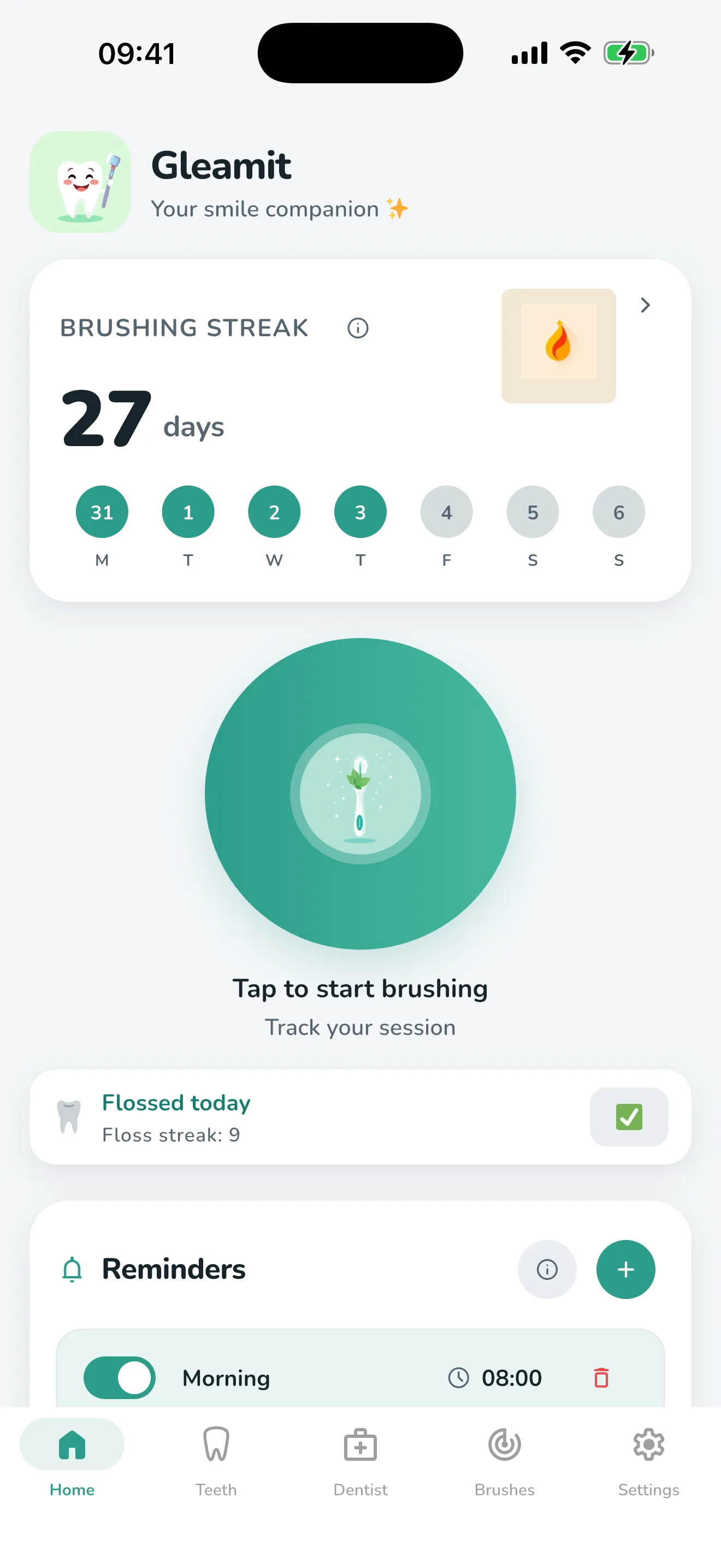 The Home tab: a 27-day brushing streak, the brushing timer, floss and reminders